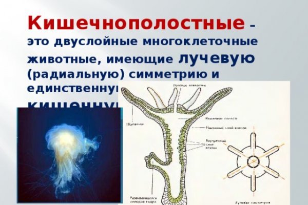 Кракен маркетплейс нарко