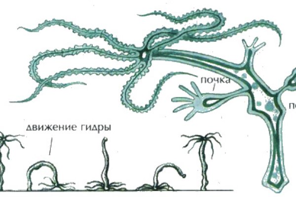 Найдется все кракен